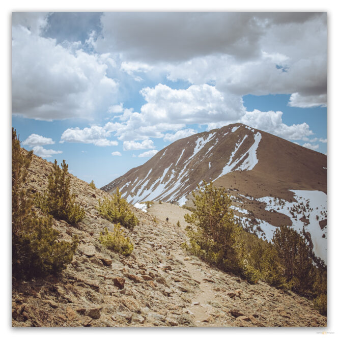 Nevada High Points #83 – Toiyabe Range